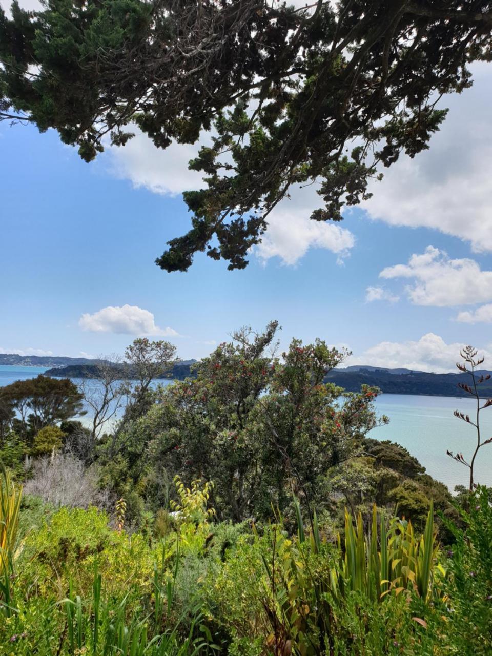 The Retreat Holiday House Paihia Exteriér fotografie