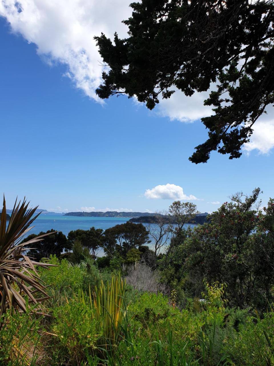 The Retreat Holiday House Paihia Exteriér fotografie